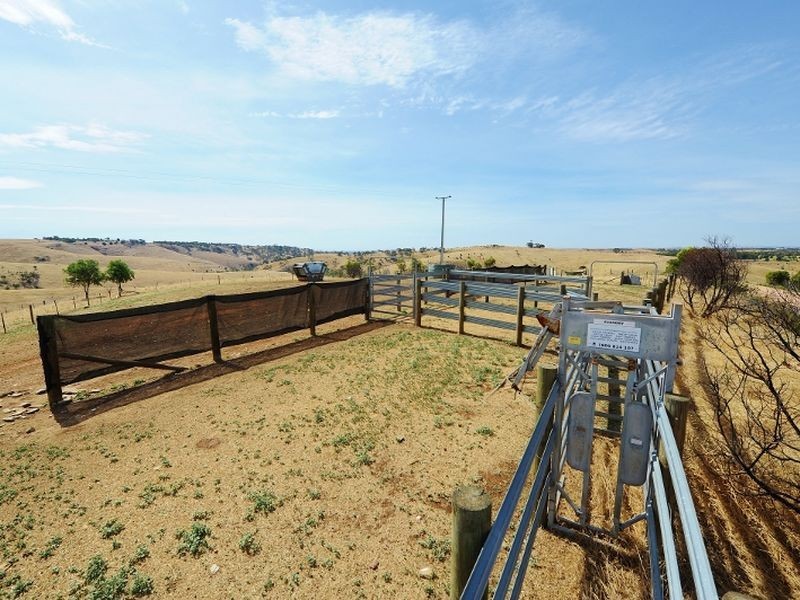 Lot 39 Riggs Road Bibaringa, One Tree Hill SA 5114