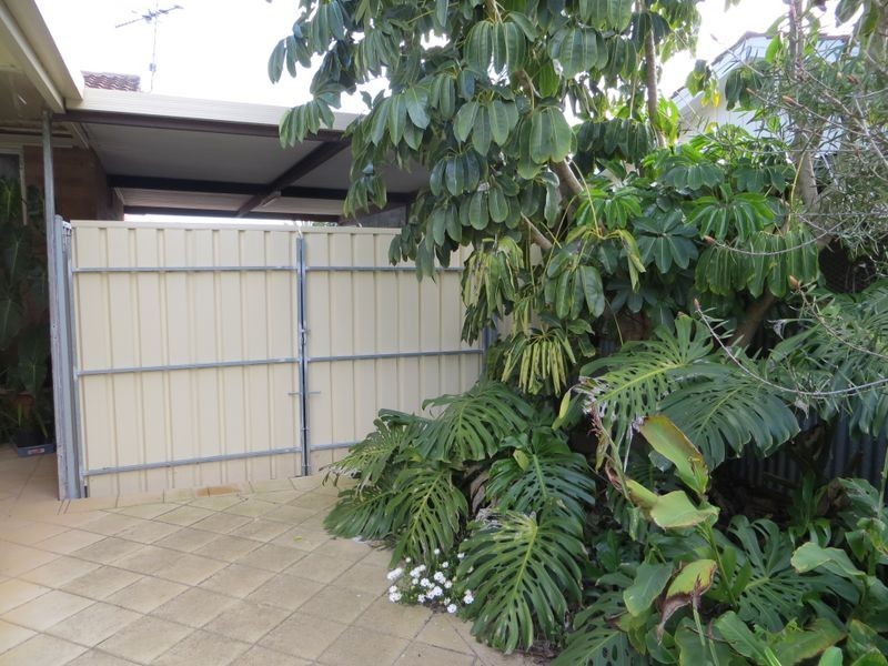 7 Preston Street, Elizabeth Downs SA 5113