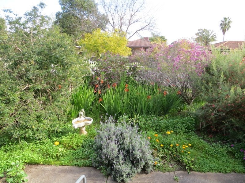 7 Preston Street, Elizabeth Downs SA 5113