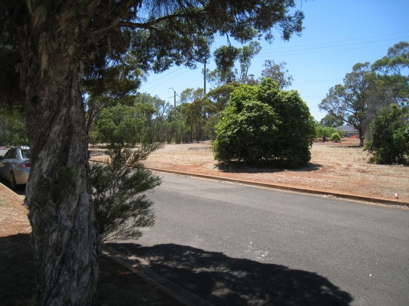 15 Linger Crescent, Elizabeth Downs SA 5113