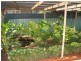 12 Maplewood Drive, Blakeview SA 5114