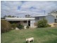 21 Second Street, Morgan SA 5320