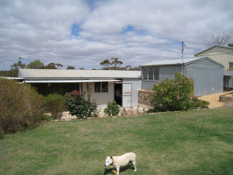 21 Second Street, Morgan SA 5320
