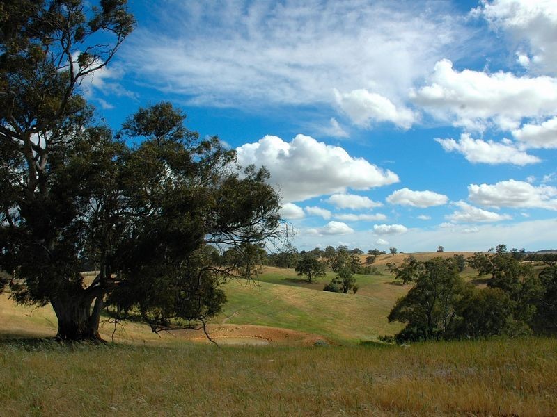 Lot 712 Allendale Road, Kalbeeba SA 5118