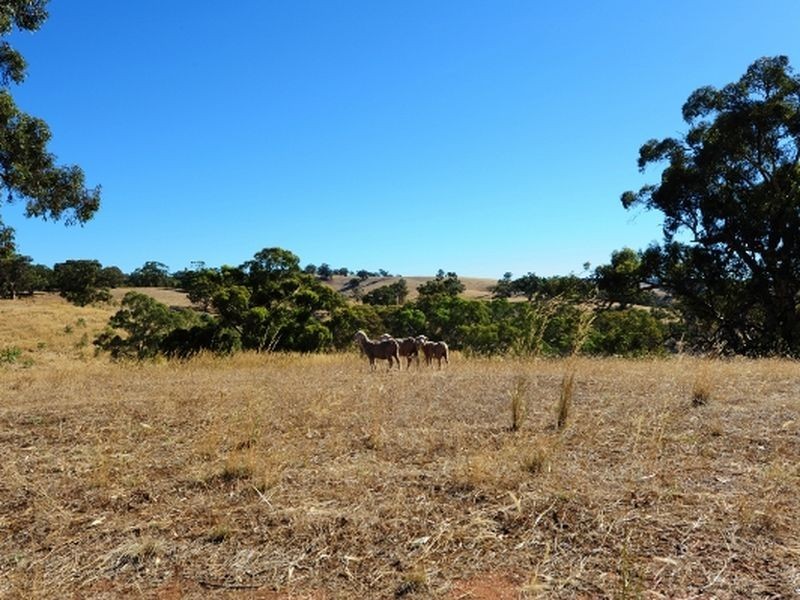 Lot 712 Allendale Road, Kalbeeba SA 5118