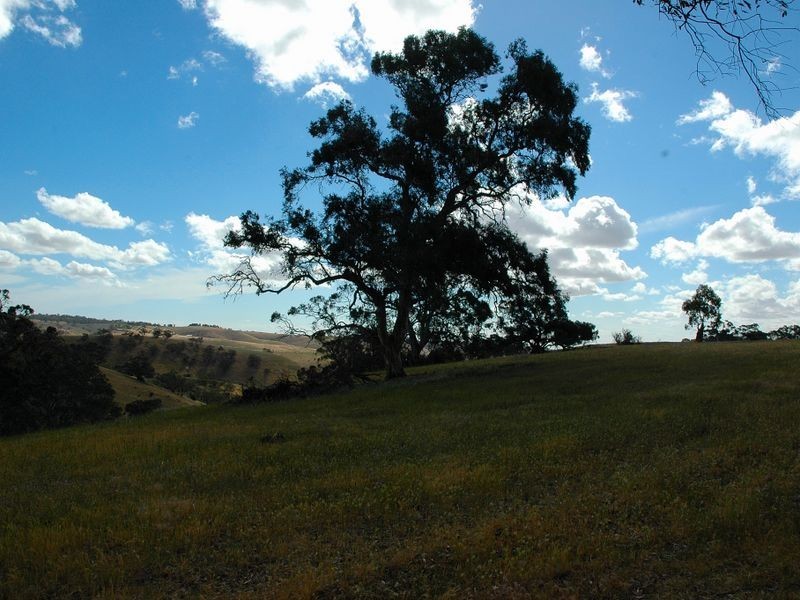 Lot 712 Allendale Road, Kalbeeba SA 5118