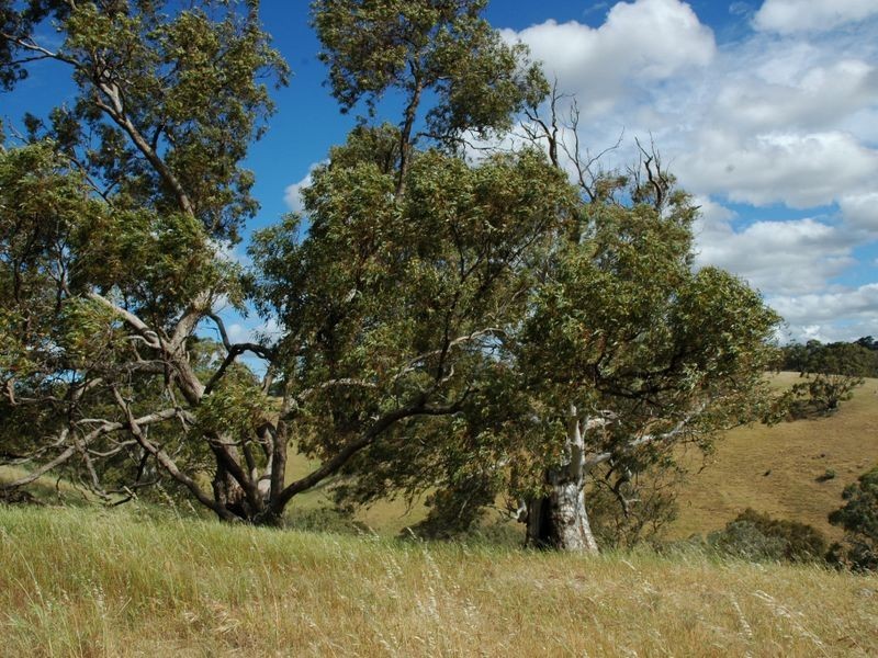 Lot 714 Allendale Road, Kalbeeba SA 5118