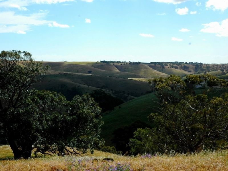 Lot 714 Allendale Road, Kalbeeba SA 5118