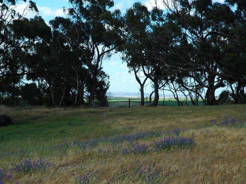 Lot 714 Allendale Road, Kalbeeba SA 5118