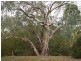Lot 23 Goulds Creek Road, One Tree Hill SA 5114
