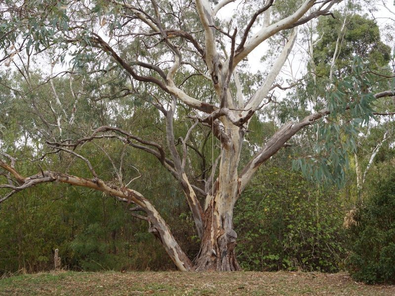 Lot 23 Goulds Creek Road, One Tree Hill SA 5114