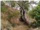 Lot 23 Goulds Creek Road, One Tree Hill SA 5114