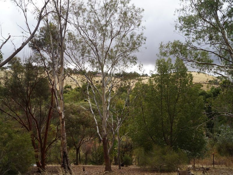 Lot 23 Goulds Creek Road, One Tree Hill SA 5114