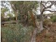 Lot 23 Goulds Creek Road, One Tree Hill SA 5114