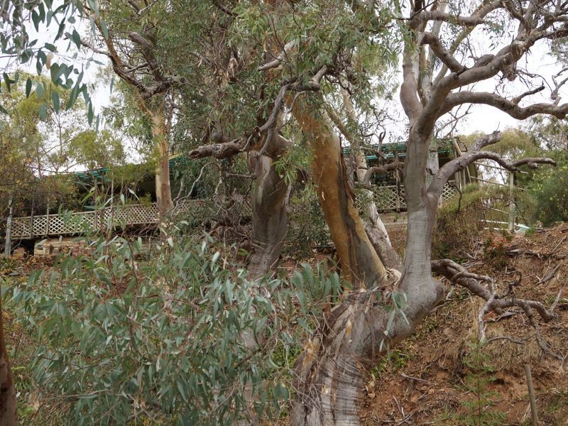 Lot 23 Goulds Creek Road, One Tree Hill SA 5114