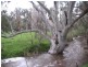 Lot 23 Goulds Creek Road, One Tree Hill SA 5114