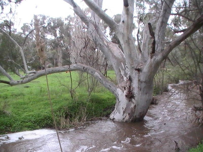Lot 23 Goulds Creek Road, One Tree Hill SA 5114