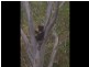 Lot 23 Goulds Creek Road, One Tree Hill SA 5114