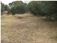 61 Williams Road, Two Wells SA 5501