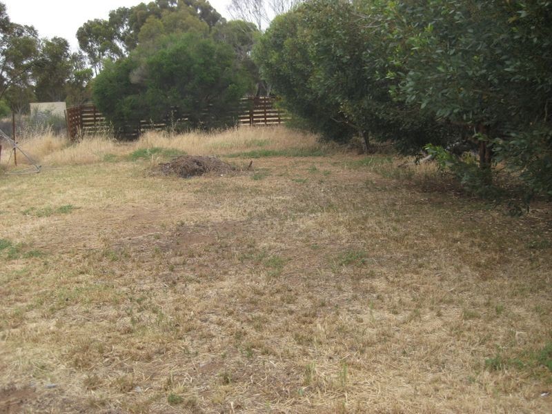 61 Williams Road, Two Wells SA 5501