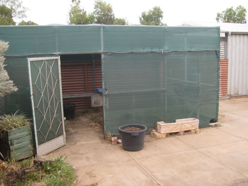 61 Williams Road, Two Wells SA 5501