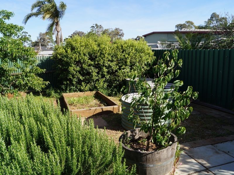 10 Willow Avenue, Salisbury East SA 5109