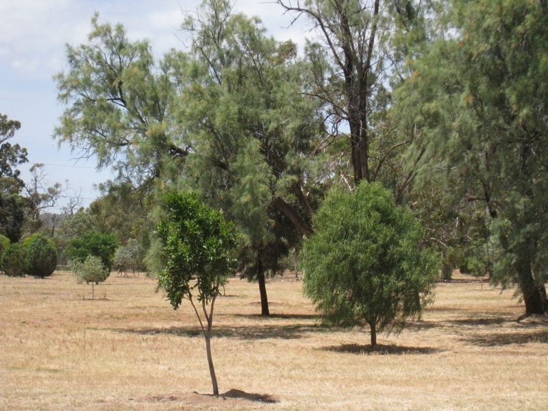 102 Coppleridge Drive, Elizabeth Vale SA 5112