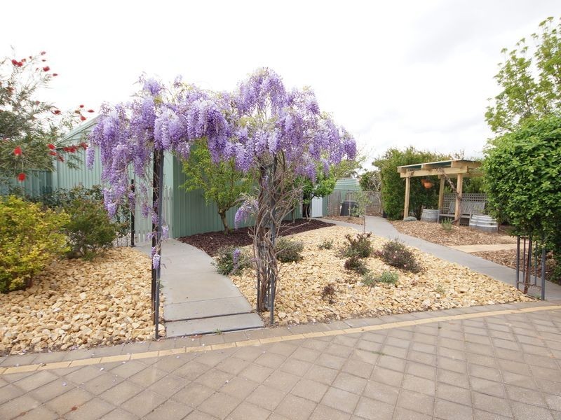 20 Eucalypt Circuit, Blakeview SA 5114