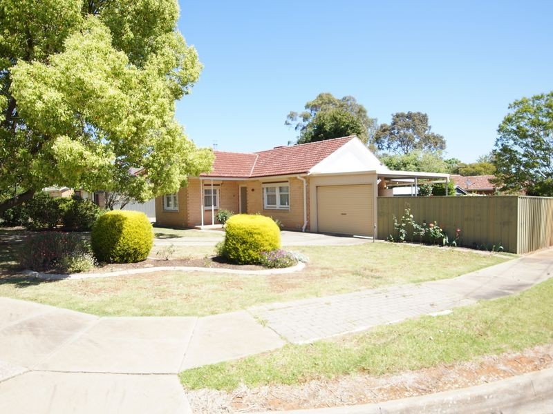 17 Bridport Street, Elizabeth Park SA 5113