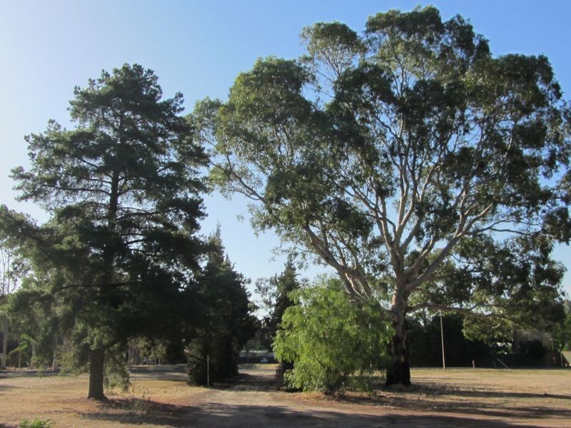 32 Julian Road, Macdonald Park SA 5121