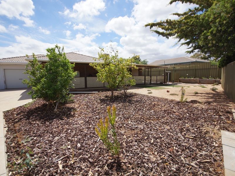 19 Springvale Drive, Blakeview SA 5114