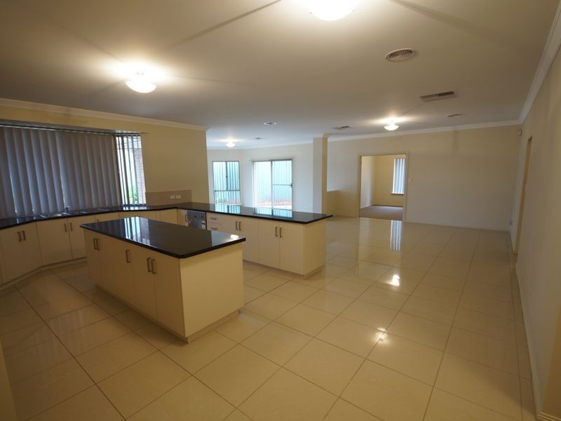 3 Holly Court, Mawson Lakes SA 5095