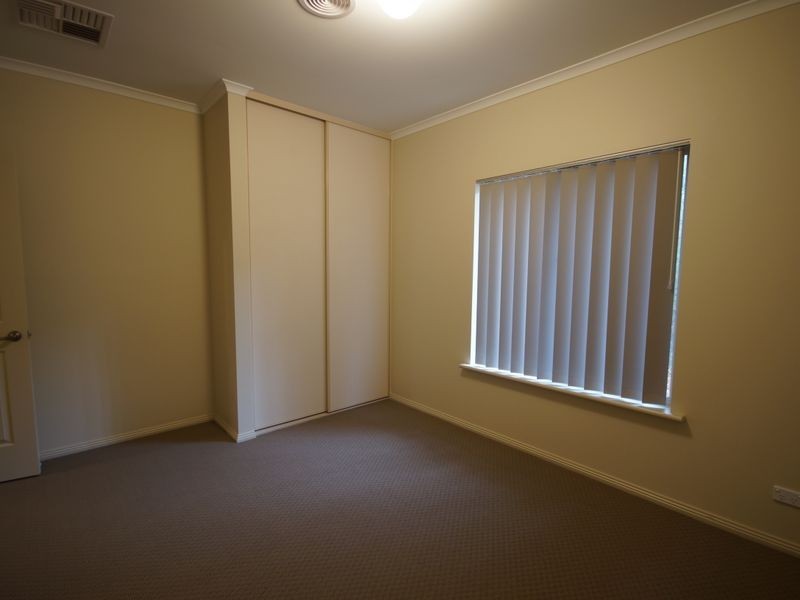 3 Holly Court, Mawson Lakes SA 5095