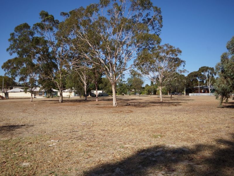 12 Bendle Street, Elizabeth Park SA 5113