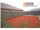1 Village Terrace, Blakeview SA 5114