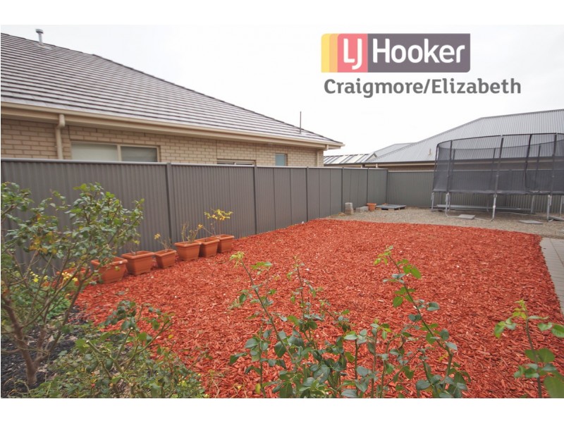 1 Village Terrace, Blakeview SA 5114