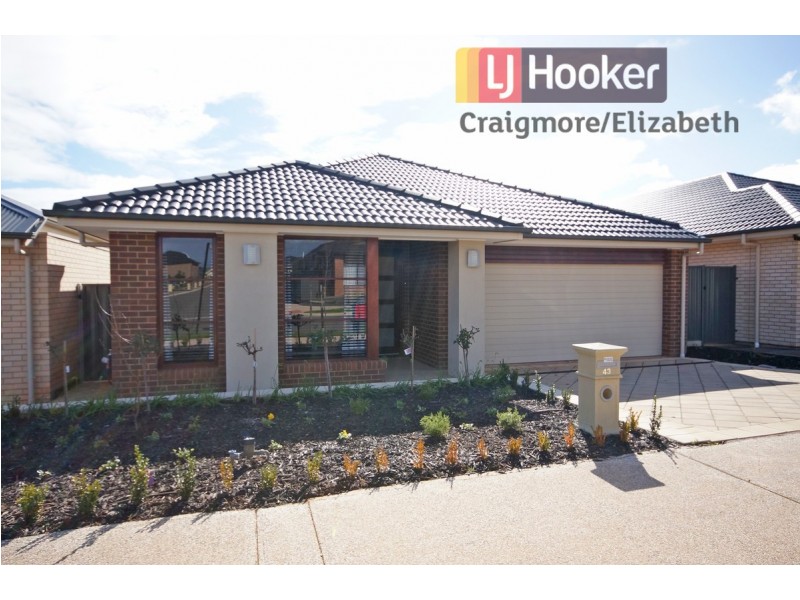 43 The Avenue, Blakeview SA 5114