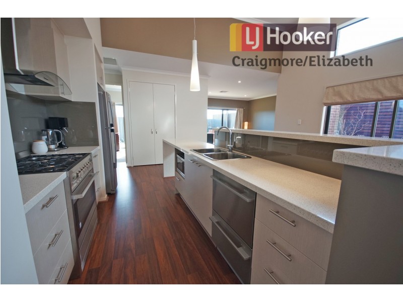 43 The Avenue, Blakeview SA 5114
