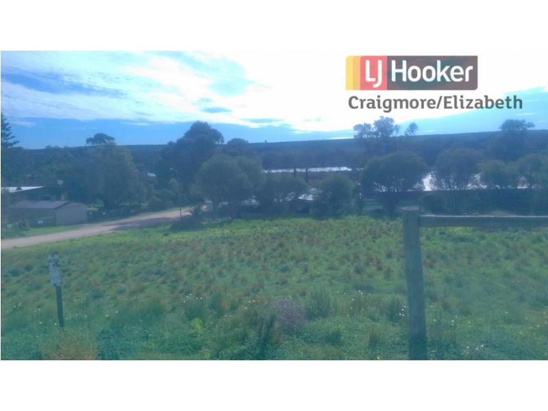 46 Tom Groggin Drive, Younghusband SA 5238