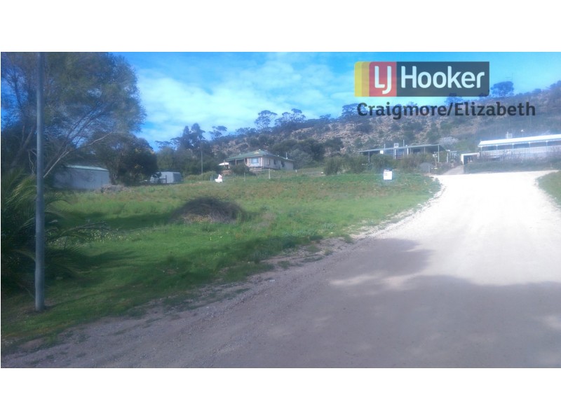 46 Tom Groggin Drive, Younghusband SA 5238