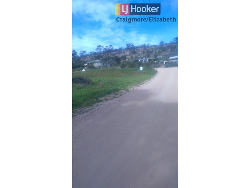 46 Tom Groggin Drive, Younghusband SA 5238