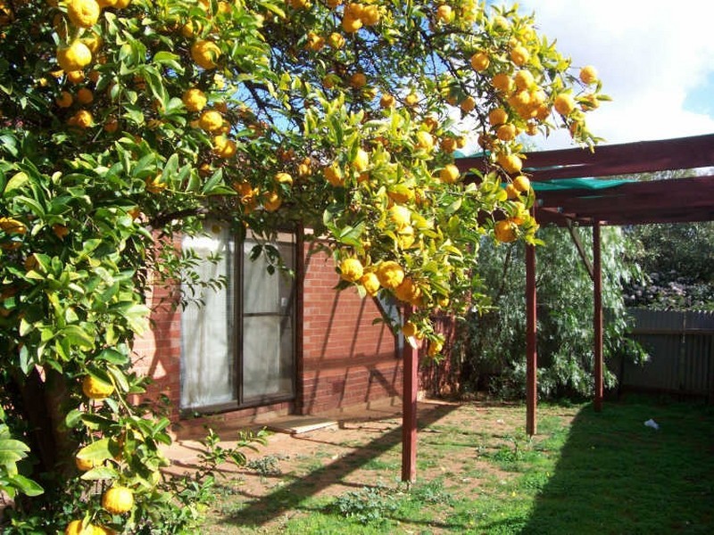 7 Gayland Road, Elizabeth Downs SA 5113