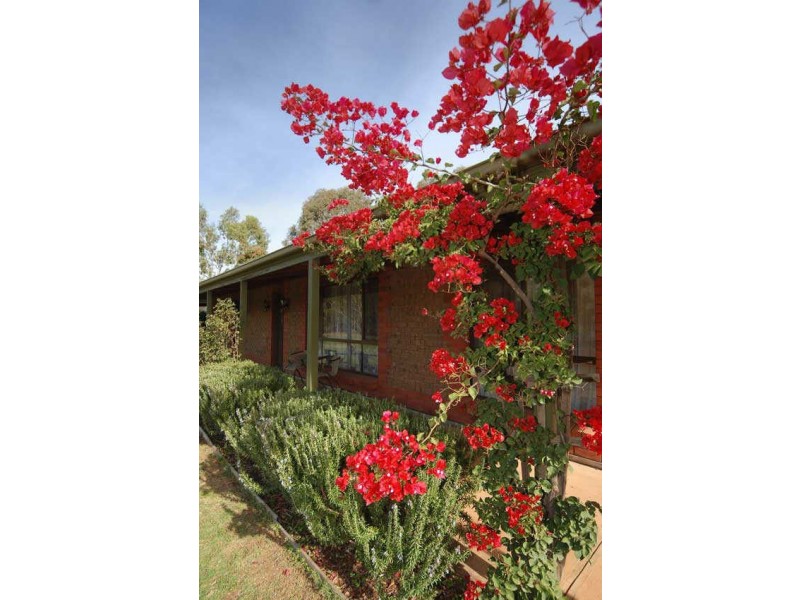 Lot 572 Miles Road, One Tree Hill SA 5114