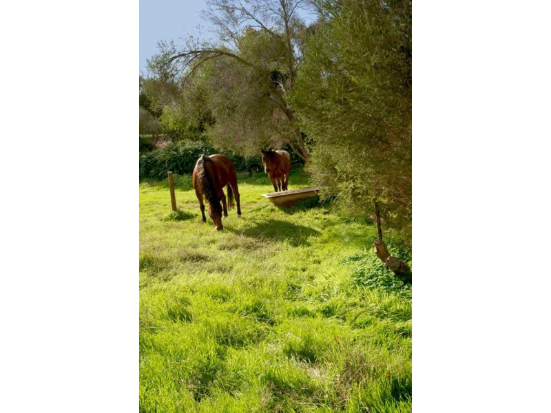 Lot 572 Miles Road, One Tree Hill SA 5114