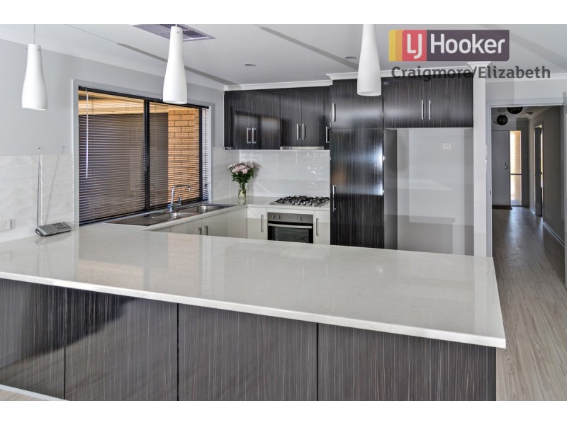 10 Rose Circuit, Blakeview SA 5114