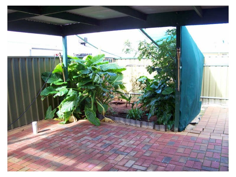 26 Forel Court, Andrews Farm SA 5114