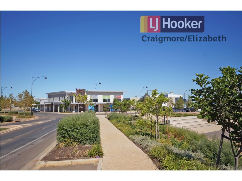 16 Hawick Avenue, Blakeview SA 5114