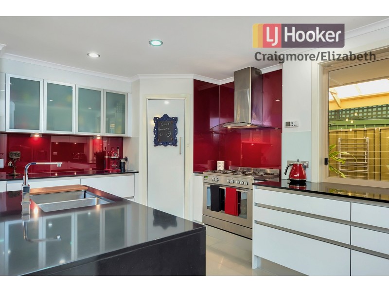 11 Cardhu Place, Greenwith SA 5125
