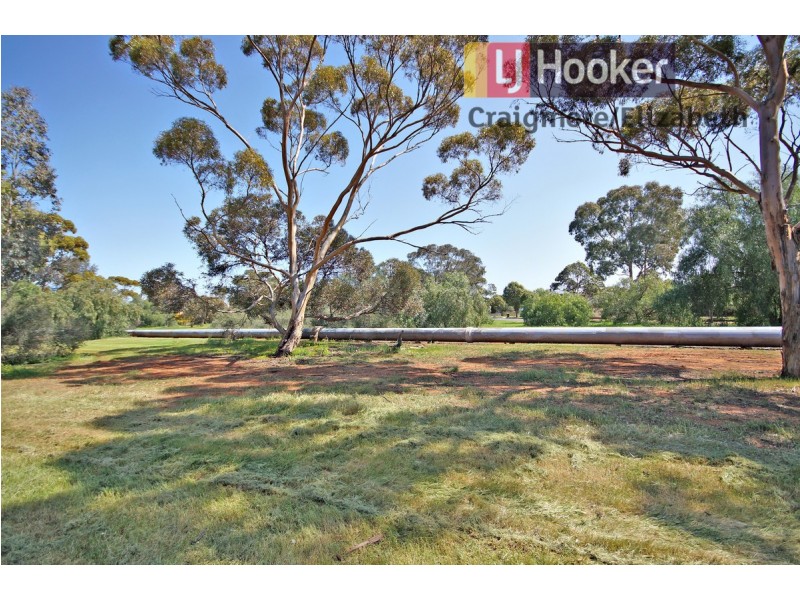10 Dauntless Crescent, Elizabeth Downs SA 5113