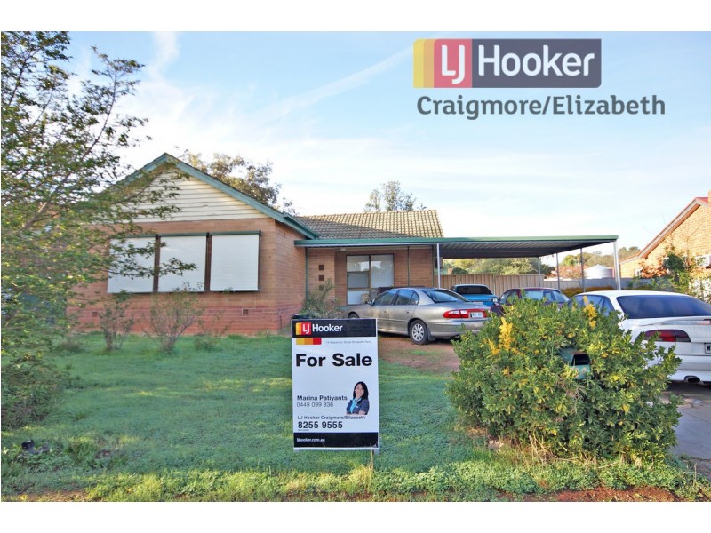 14 Alexander Street, Elizabeth Park SA 5113